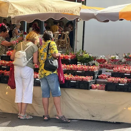 Сasa de vacaciones Maison Cosy A La Londe-les-maures, Proche